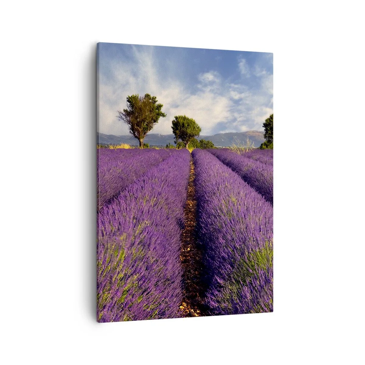 Bild auf Leinwand - Leinwandbild - Ein Lavendelfeld mit Bäumen vor der Kulisse von Bergen und Himmel - 50x70cm - Lavendelfelder - Moderne Wanddekoration für Wohnzimmer und Schlafzimmer ARTTOR