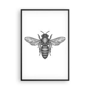 Poster in einem schwarzem Rahmen - Insektenporträt - 61x91 cm