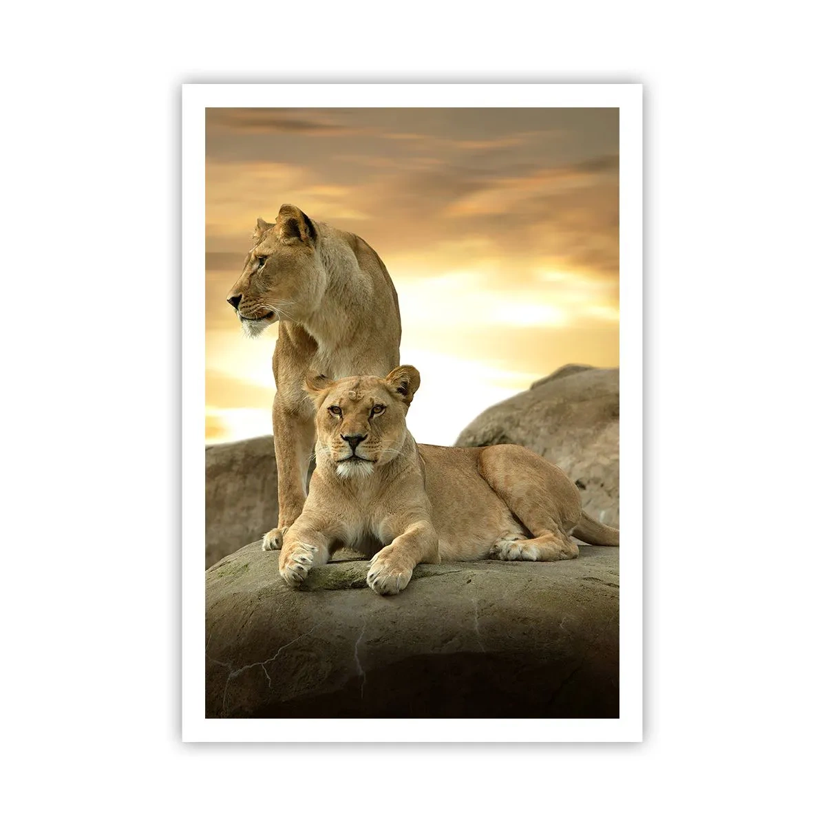 Poster - Königliche Majestät - 70x100 cm