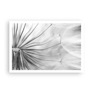 Poster - Zarte Pusteblumen in Schwarz-Weiß-Tönen - 100x70cm - Löwenzahn, Drachen - Moderne Wanddekoration für Wohnzimmer und Schlafzimmer ARTTOR