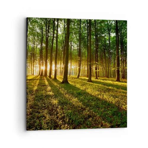Bild auf Leinwand - Leinwandbild - Alle Frühlingsfotografie - 70x70 cm