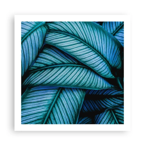 Poster - Lebenslinien - 60x60 cm