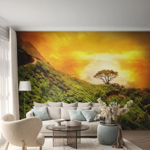 Fototapete Premium Sand - Ein gewundener Weg, ein grüner Hang - Landschaft, Tee Plantage, Indien - 100x70 cm