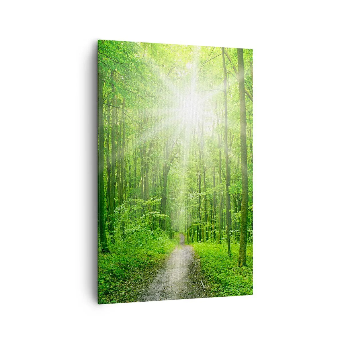 Bild auf Leinwand - Leinwandbild - Pfad im Wald mit Sonnenstrahlen - 80x120cm - Die grüne Kathedrale - Moderne Wanddekoration für Wohnzimmer und Schlafzimmer ARTTOR