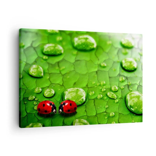 Bild auf Leinwand - Leinwandbild - Zwei Marienkäfer auf einem Blatt mit Wassertropfen in der Makrofotografie - 70x50cm - Treffen im Grünen - Moderne Wanddekoration für Wohnzimmer und Schlafzimmer ARTTOR