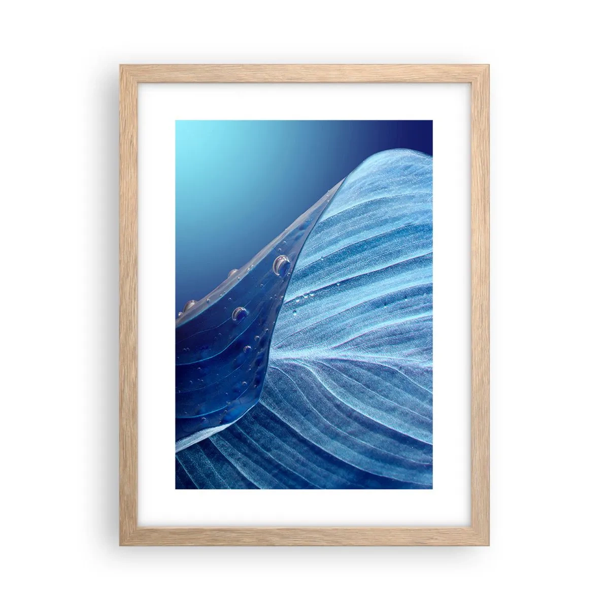 Poster in einem Rahmen aus heller Eiche - Versteckte Tropfen vom Blau - 30x40 cm