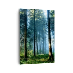 Bild auf Leinwand - Leinwandbild - Ein Waldweg, beleuchtet von den Strahlen der Morgensonne - 70x100cm - Strahlend am Morgen - Moderne Wanddekoration für Wohnzimmer und Schlafzimmer ARTTOR