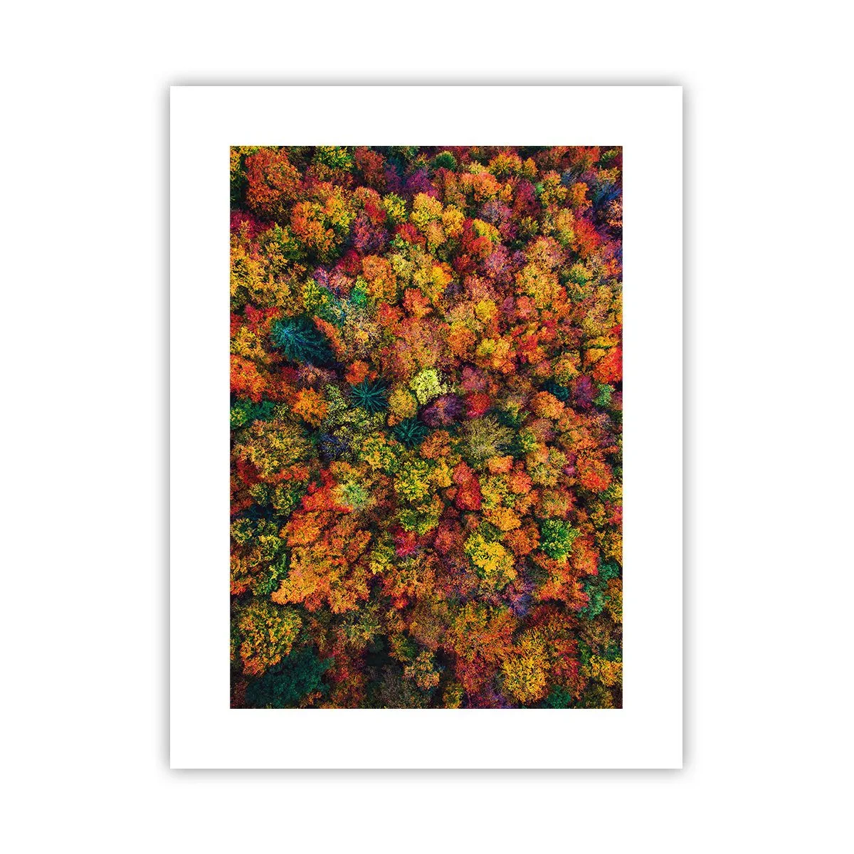 Poster - Blumenstrauß aus Herbstbäumen - 30x40 cm