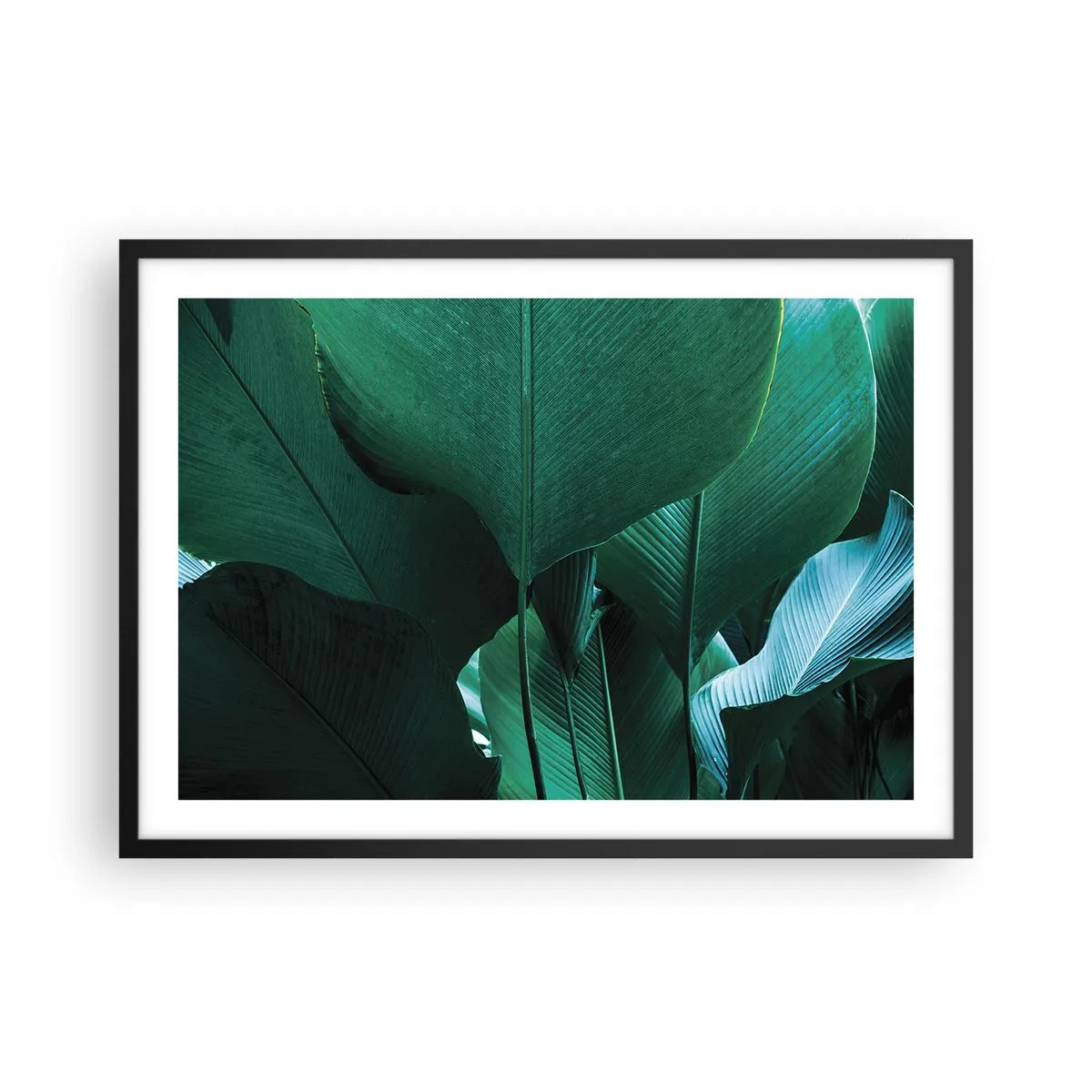 Poster in einem schwarzem Rahmen - Grüne Blätter in minimalistischer Komposition - 70x50cm - Dem Licht zugewandt - Moderne Wanddekoration für Wohnzimmer und Schlafzimmer ARTTOR
