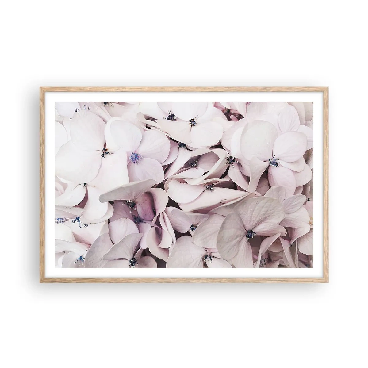 Poster in einem Rahmen aus heller Eiche - In einer Blumenflut - 91x61 cm