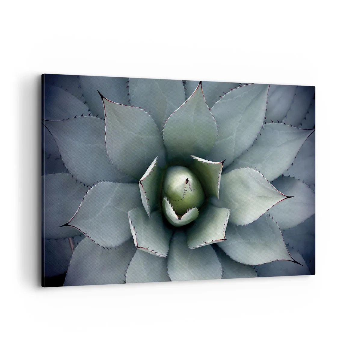 Bild auf Leinwand - Leinwandbild - Nahaufnahme einer Agavenrosette in zarten Grüntönen - 120x80cm - Es lockt an und warnt - Moderne Wanddekoration für Wohnzimmer und Schlafzimmer ARTTOR