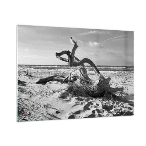 Glasbild - Bild auf glas - Eine schwarz-weiße Landschaft mit einem heruntergefallenen Ast an einem Strand am Meer. - 100x70cm - Meeresskulptur - Moderne Wanddekoration für Wohnzimmer und Schlafzimmer ARTTOR