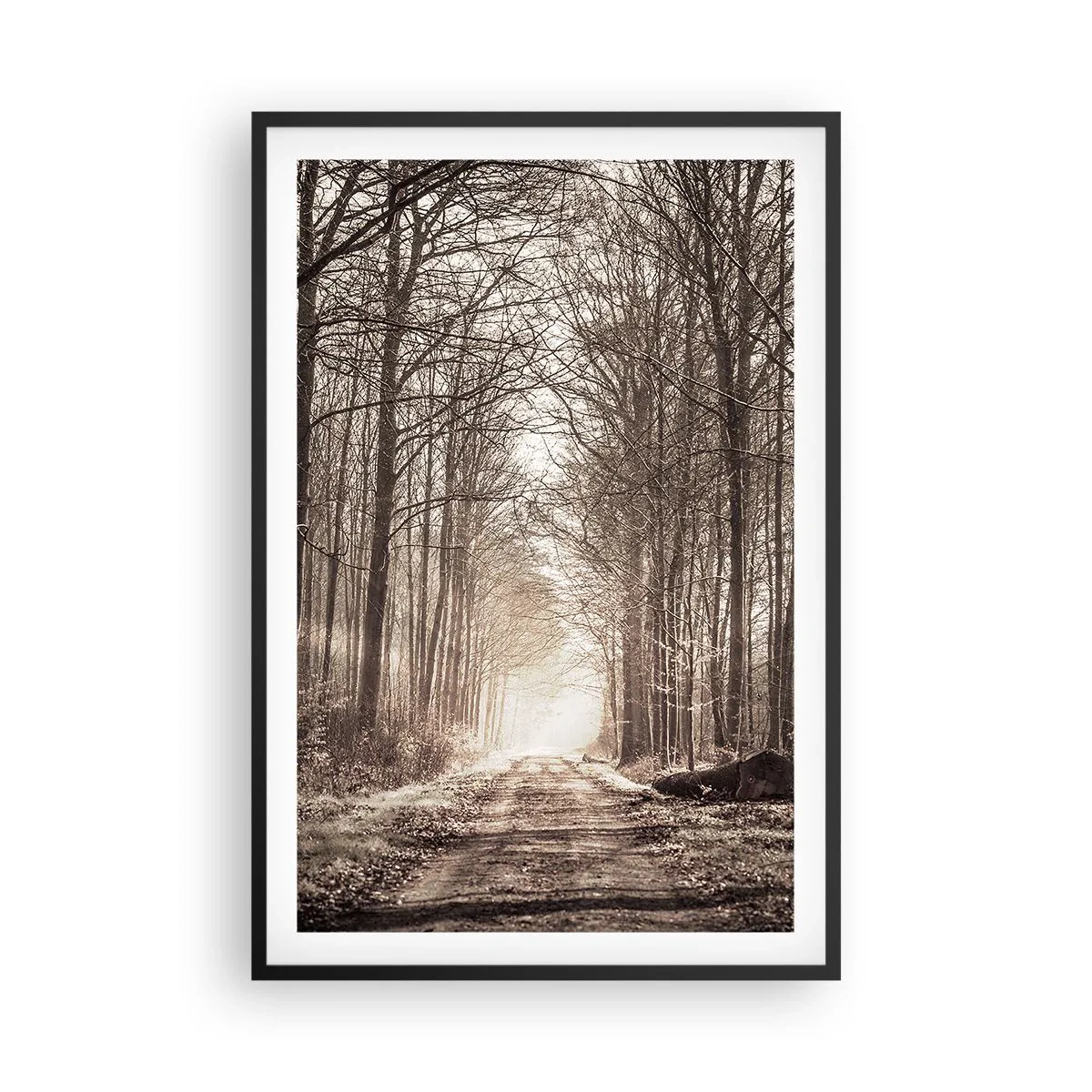 Poster in einem schwarzem Rahmen - Waldkathedrale - 61x91 cm