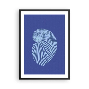 Poster in einem schwarzem Rahmen - Stilisierte Muschelgrafiken in spiralförmiger Anordnung - 50x70cm - Geburt der Muschel - Moderne Wanddekoration für Wohnzimmer und Schlafzimmer ARTTOR