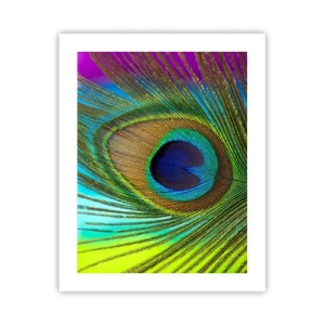 Poster - Auge in Auge - 40x50 cm