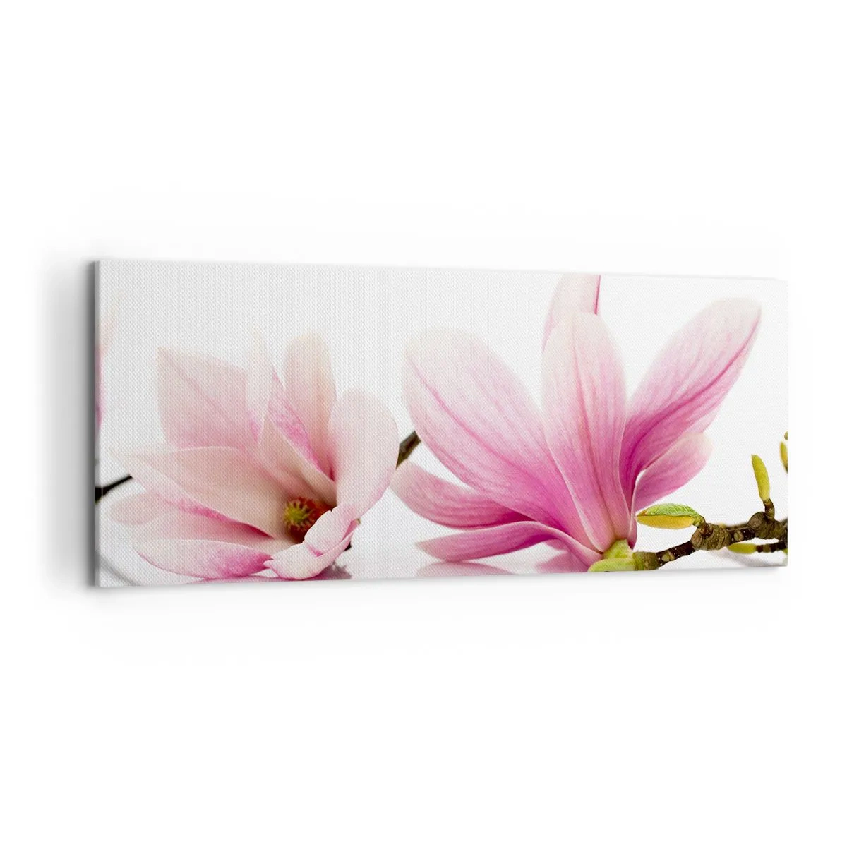 Bild auf Leinwand - Leinwandbild - Zarte rosa Magnolien auf weißem Hintergrund - 120x50cm - Zart wie ein Frühlingswind - Moderne Wanddekoration für Wohnzimmer und Schlafzimmer ARTTOR