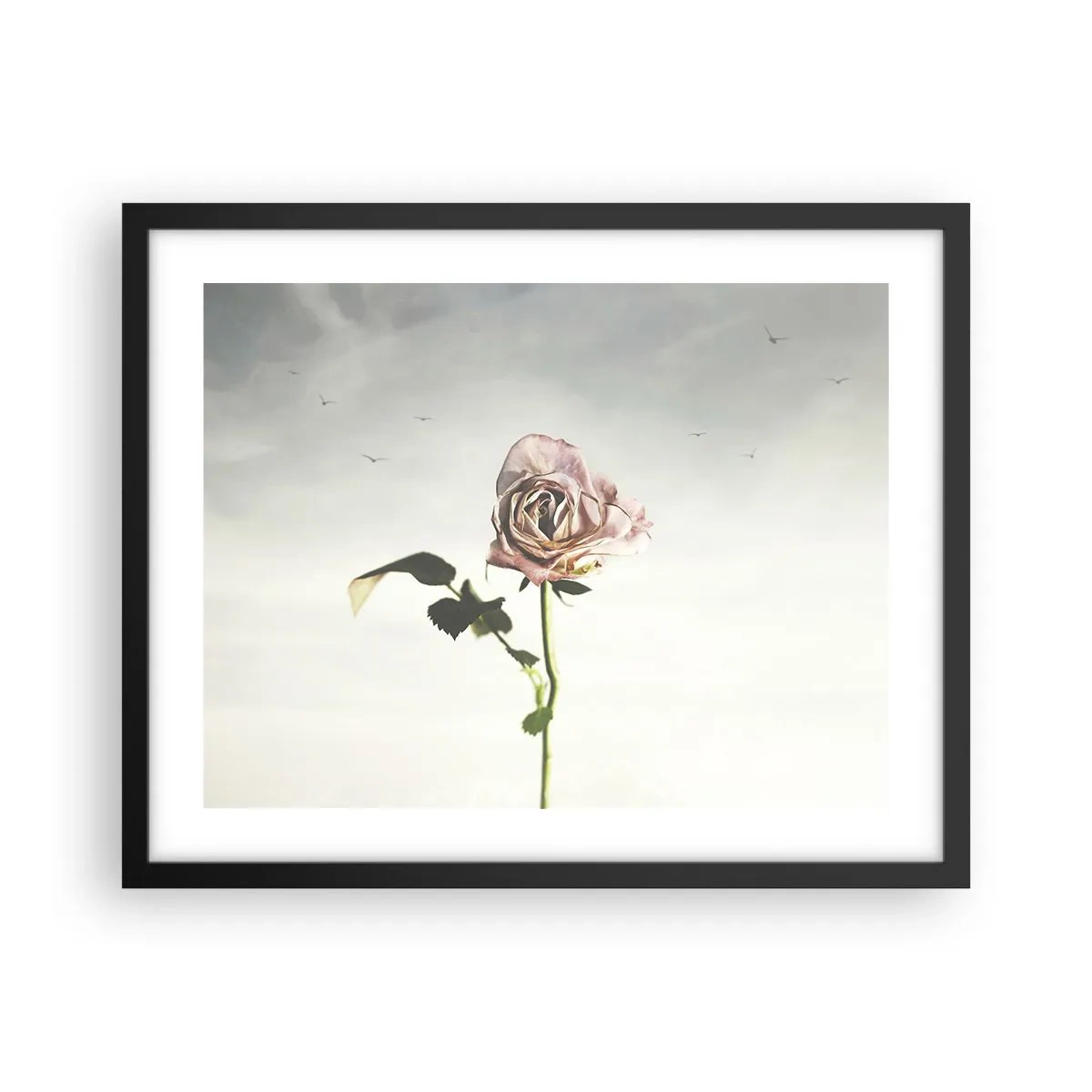 Poster in einem schwarzem Rahmen - Begrüßung des Frühlings - 50x40 cm