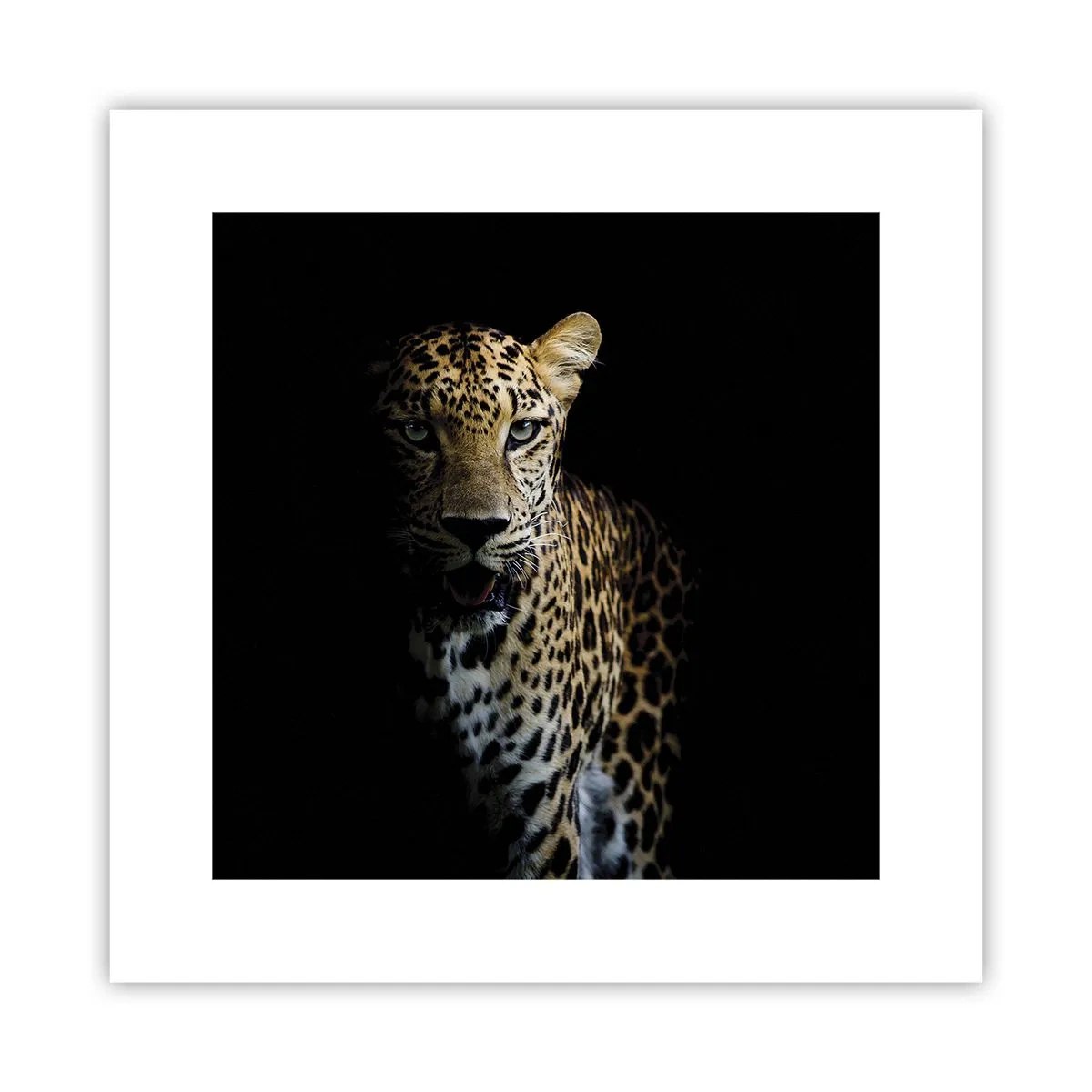 Poster - Dunkle Schönheit - 30x30 cm