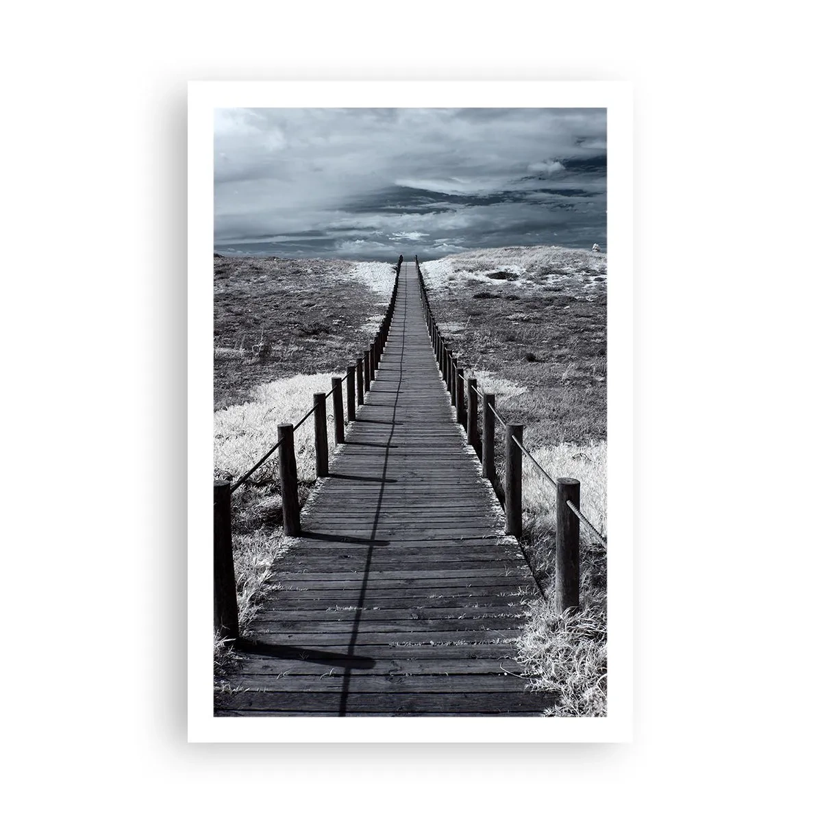 Poster - Direkt ans Ufer - 61x91 cm