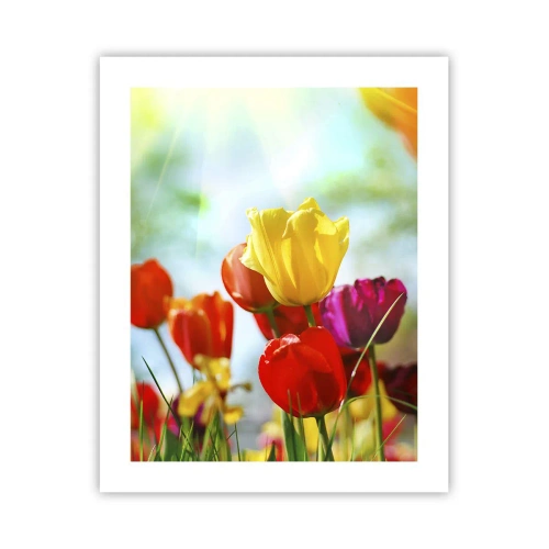 Poster - Alle Farben der Sonne - 40x50 cm