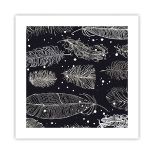 Poster - Gefiederte Spitze - 40x40 cm