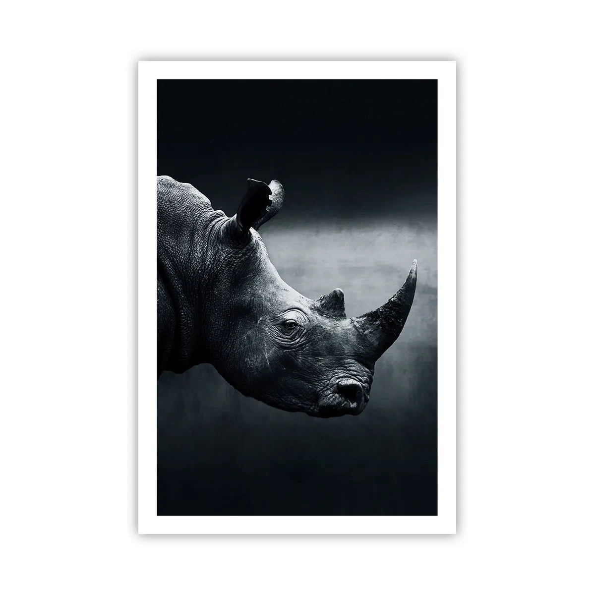 Poster - Richtiges Profil - 61x91 cm