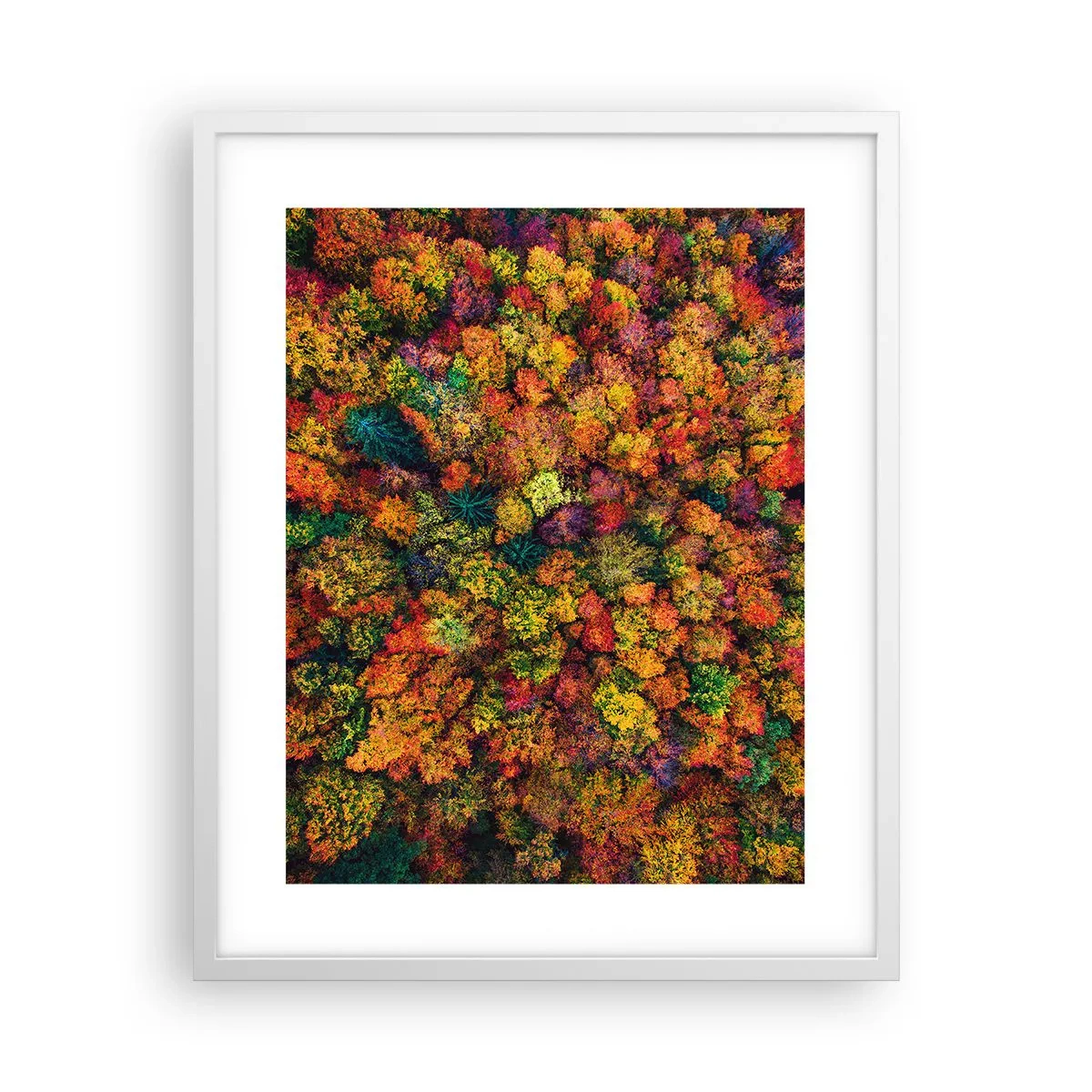 Poster in einem weißen Rahmen - Blumenstrauß aus Herbstbäumen - 40x50 cm