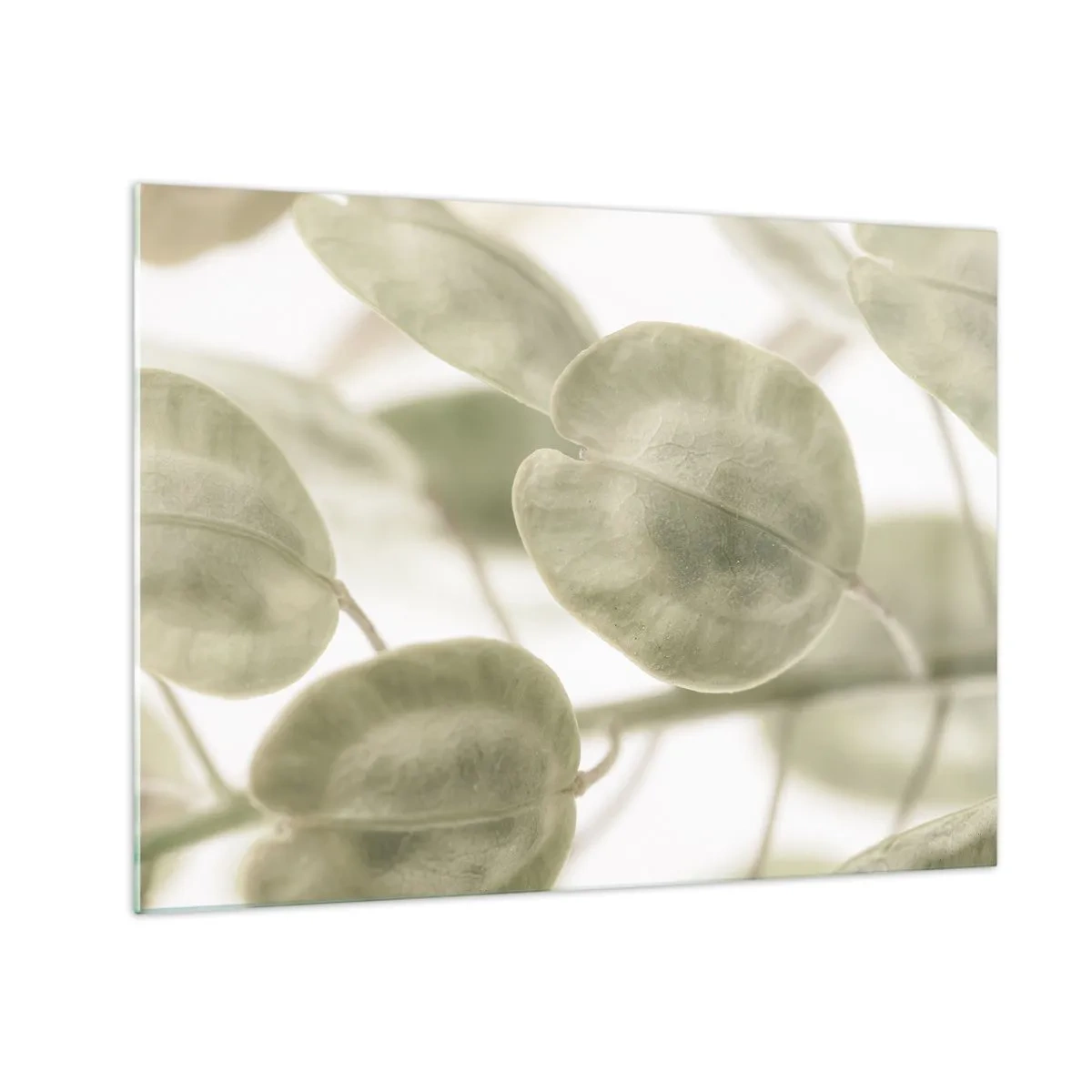 Glasbild - Bild auf glas - Nahaufnahme von Blättern in sanften Pastelltönen von Grün - 70x50cm - Am Anfang waren Blätter... - Moderne Wanddekoration für Wohnzimmer und Schlafzimmer ARTTOR