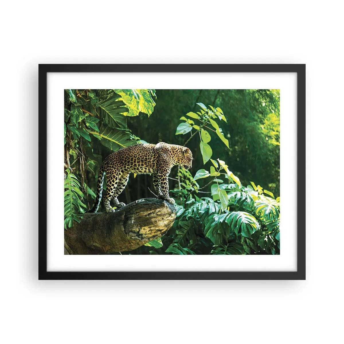 Poster in einem schwarzem Rahmen - Auf die Jagd? - 50x40 cm