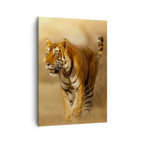 Bild auf Leinwand - Leinwandbild - Ein Tiger, der in warmen Farben durch die Savanne läuft - 50x70cm - Vor dem Angriff - Moderne Wanddekoration für Wohnzimmer und Schlafzimmer ARTTOR