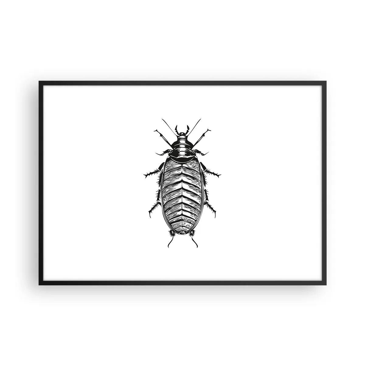 Poster in einem schwarzem Rahmen - Grafik eines schwarz-weißen Insekts auf weißem Hintergrund - 100x70cm - Was für ein Exemplar! - Moderne Wanddekoration für Wohnzimmer und Schlafzimmer ARTTOR