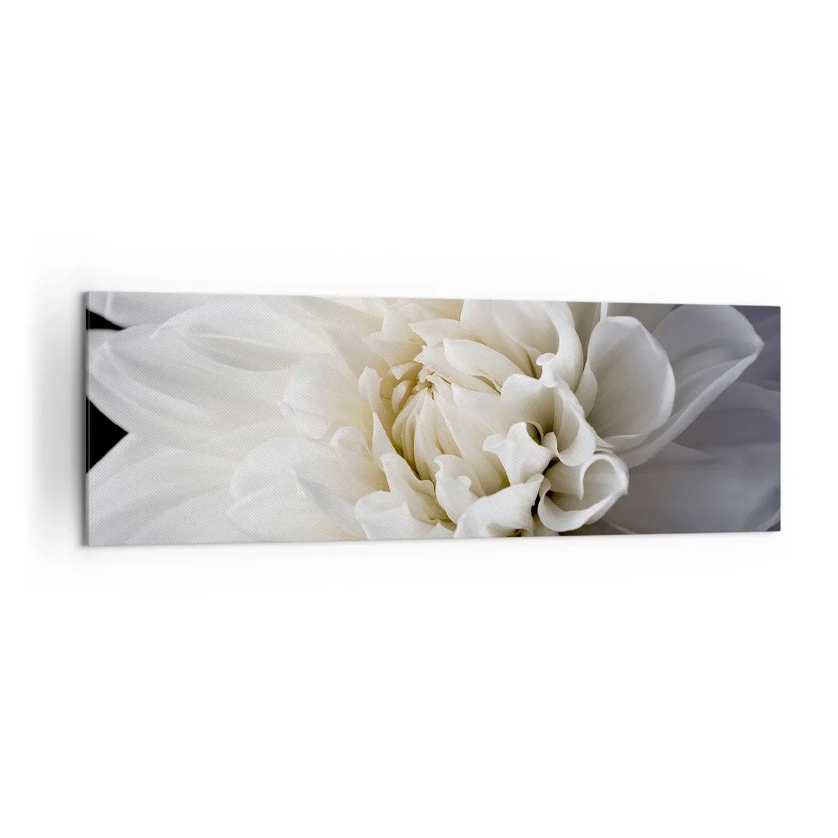 Bild auf Leinwand - Leinwandbild - Eine zarte weiße Blume auf schwarzem Hintergrund in einer eleganten Komposition - 160x50cm - Der Morgen der Braut - Moderne Wanddekoration für Wohnzimmer und Schlafzimmer ARTTOR