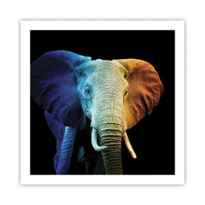 Poster - Exzentrisch, kein Verrückter - 60x60 cm