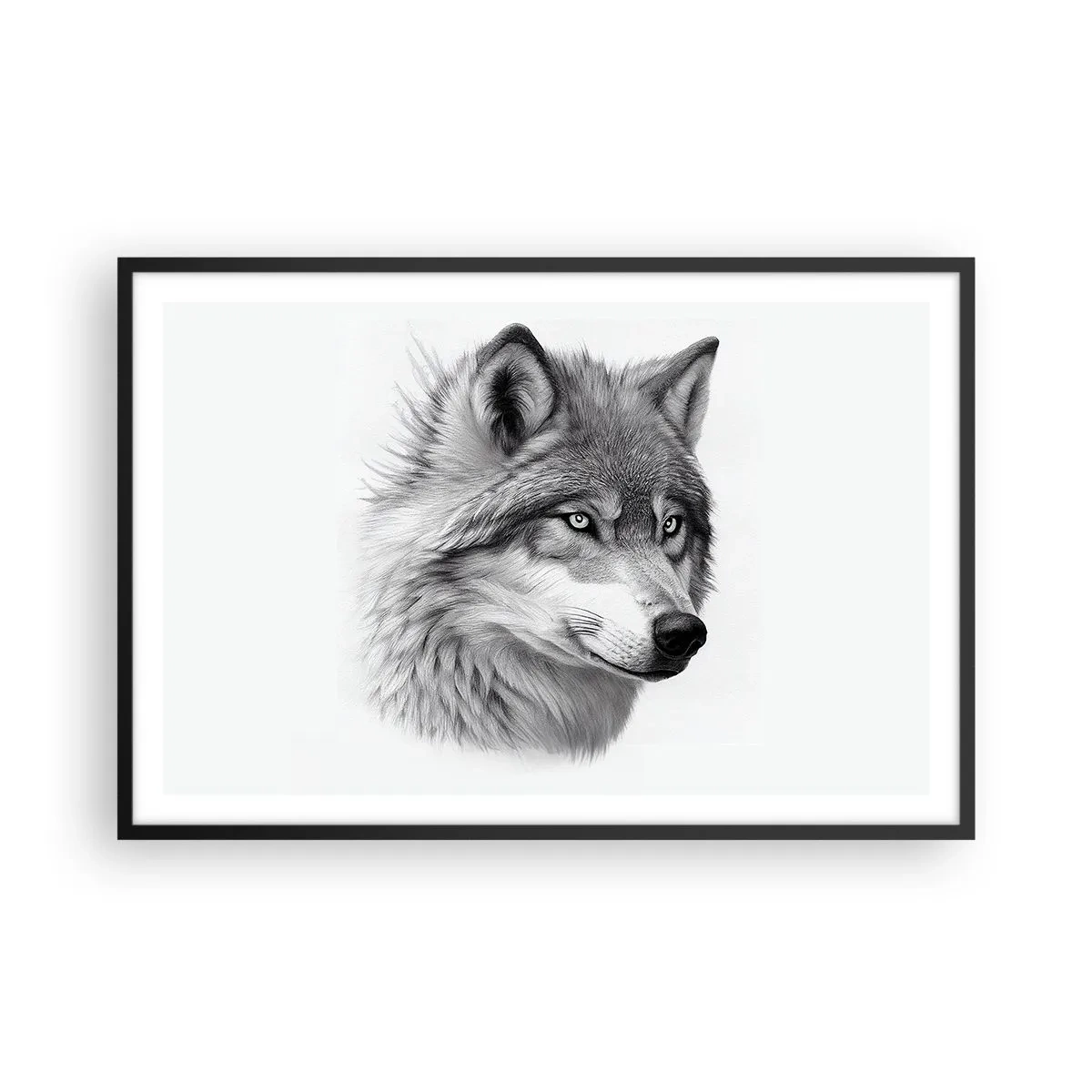 Poster in einem schwarzem Rahmen - Alpha – ohne Zweifel - 91x61 cm