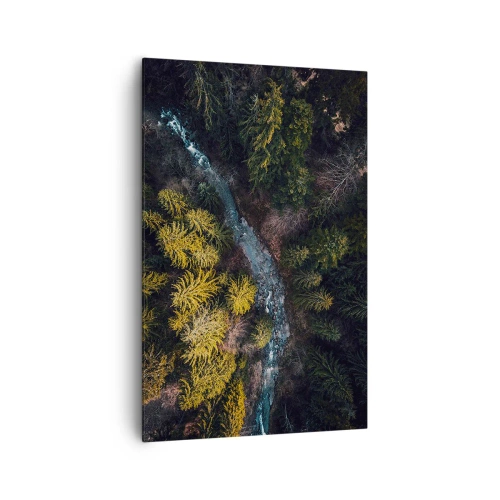 Bild auf Leinwand - Leinwandbild - Ein Blick von oben auf einen Wald mit einem gewundenen Fluss - 80x120cm - Schnell und immer schneller - Moderne Wanddekoration für Wohnzimmer und Schlafzimmer ARTTOR