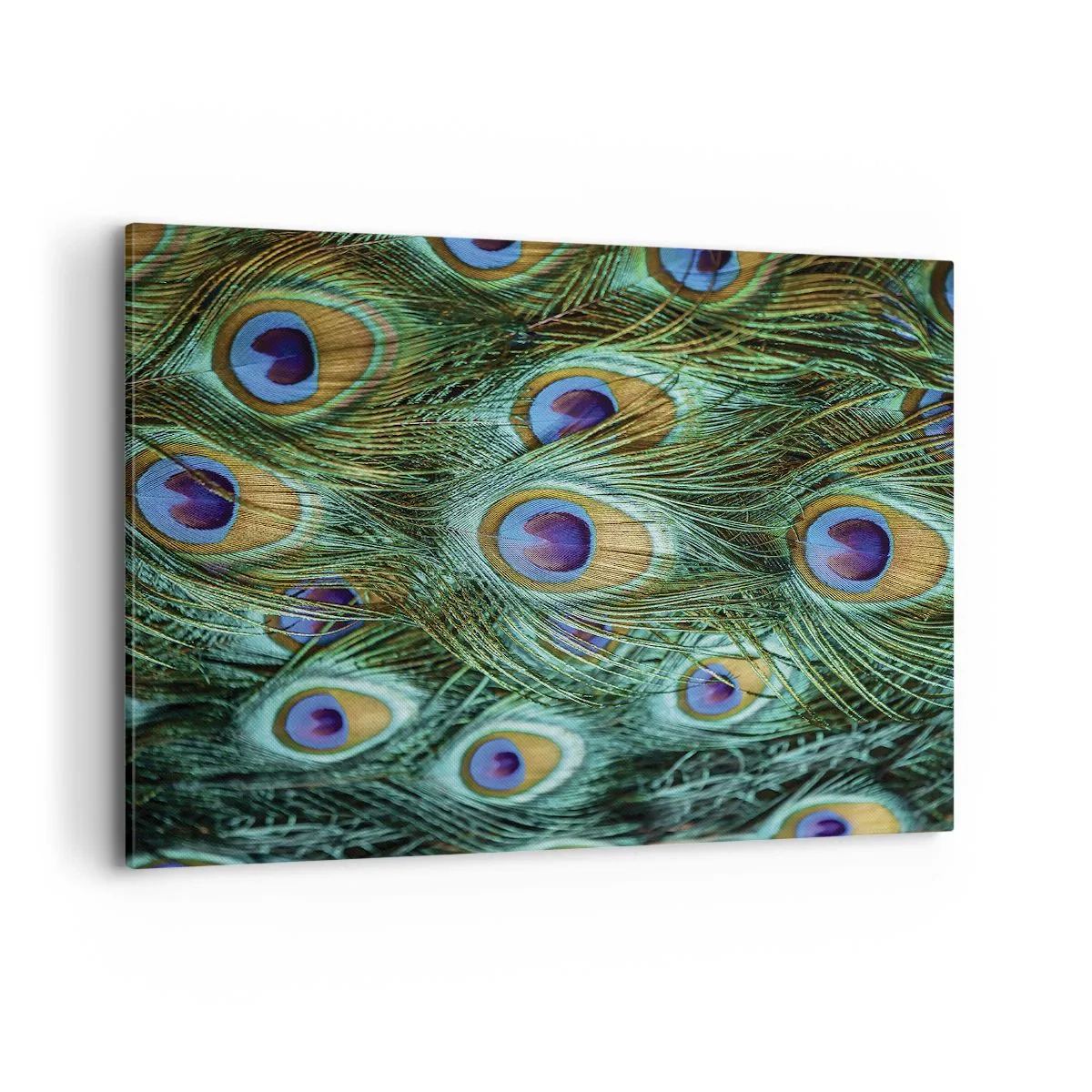Bild auf Leinwand - Leinwandbild - Details von Pfauenfedern in satten Farben - 100x70cm - Ein Blick mit Pfauenaugen - Moderne Wanddekoration für Wohnzimmer und Schlafzimmer ARTTOR