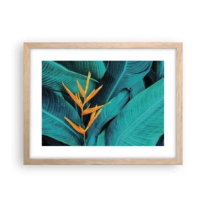 Poster in einem Rahmen aus heller Eiche - Eden-Blume - 40x30 cm