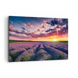 Bild auf Leinwand - Leinwandbild - Ein Lavendelfeld bei Sonnenuntergang mit einem farbenfrohen Himmel - 120x80cm - Lavendel Welt - Moderne Wanddekoration für Wohnzimmer und Schlafzimmer ARTTOR