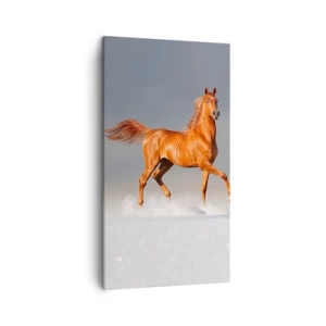 Bild auf Leinwand - Leinwandbild - Tanzende Anmut - 45x80 cm