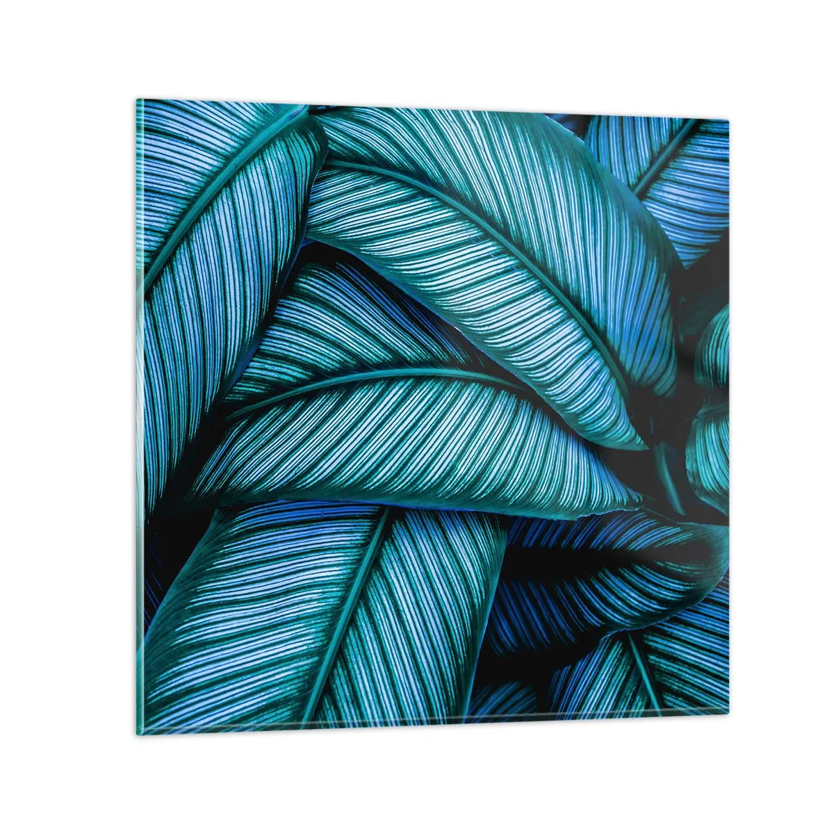 Glasbild - Bild auf glas - Lebenslinien - 50x50 cm