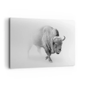 Bild auf Leinwand - Leinwandbild - Weißer Bison in minimalistischem Ambiente - 100x70cm - König der Prärie - Moderne Wanddekoration für Wohnzimmer und Schlafzimmer ARTTOR