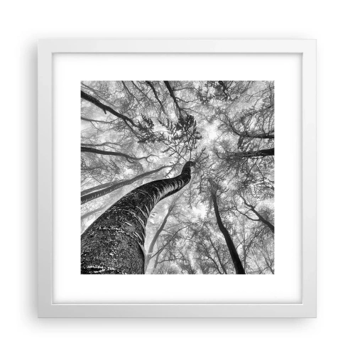 Poster in einem weißen Rahmen - Rennen zum Licht - 30x30 cm