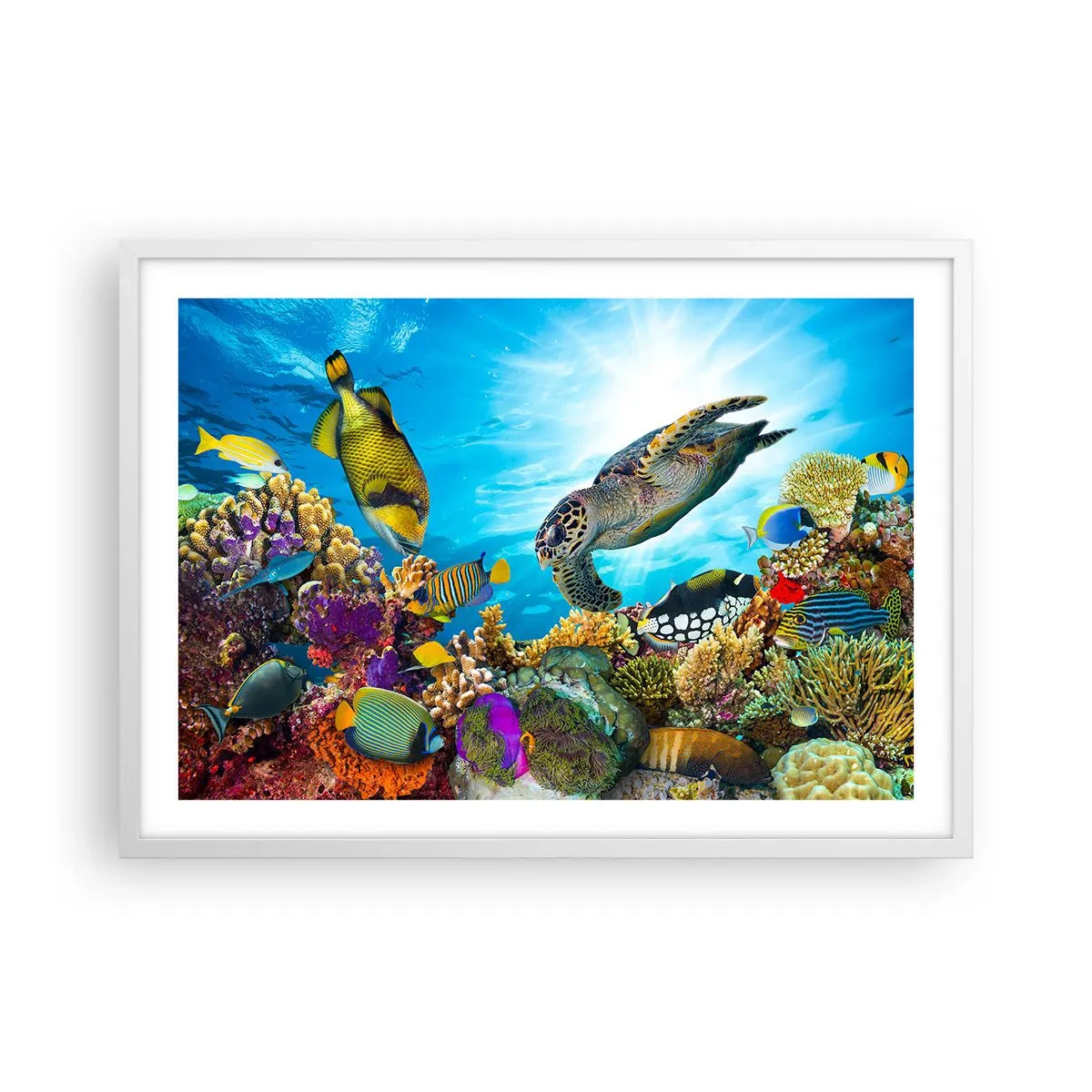 Poster in einem weißen Rahmen - Korallenpromenade - 70x50 cm