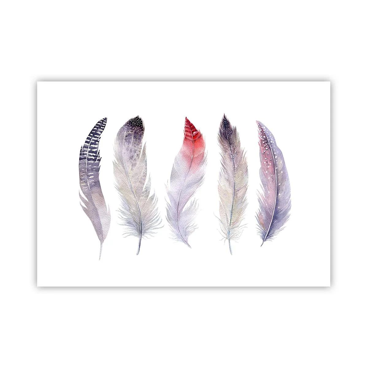 Poster - Fünf zarte Federn in Pastelltönen auf hellem Untergrund - 100x70cm - Zart wie mehrfarbiger Nebel - Moderne Wanddekoration für Wohnzimmer und Schlafzimmer ARTTOR