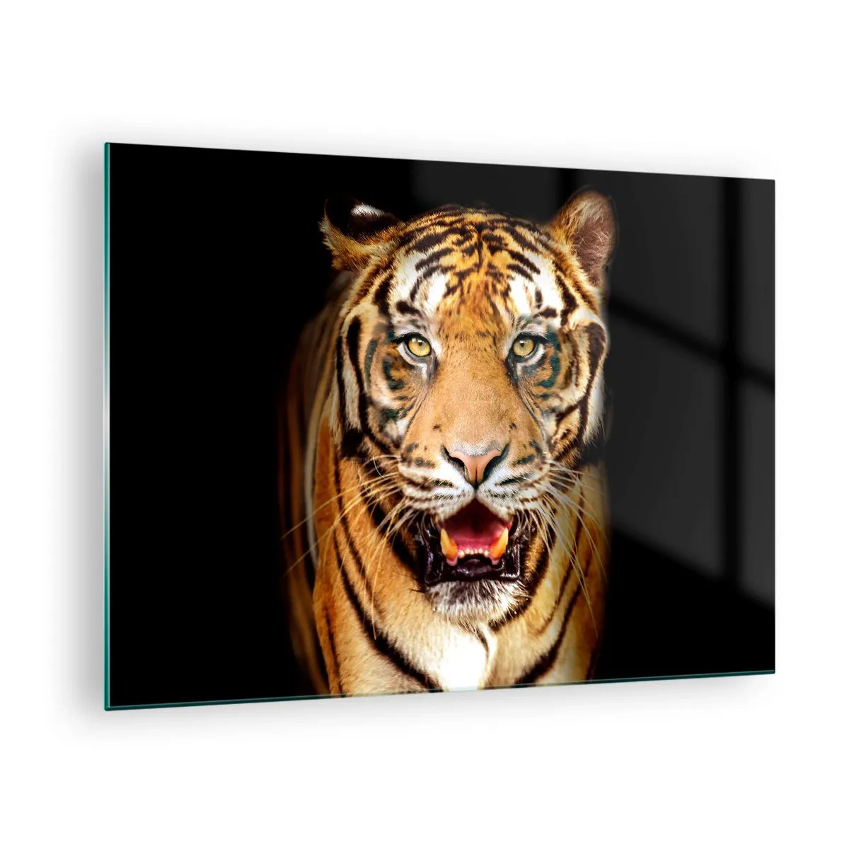 Glasbild - Bild auf glas - Ein Tiger auf dunklem Hintergrund mit intensivem Blick - 70x50cm - Wild im Herzen - Moderne Wanddekoration für Wohnzimmer und Schlafzimmer ARTTOR
