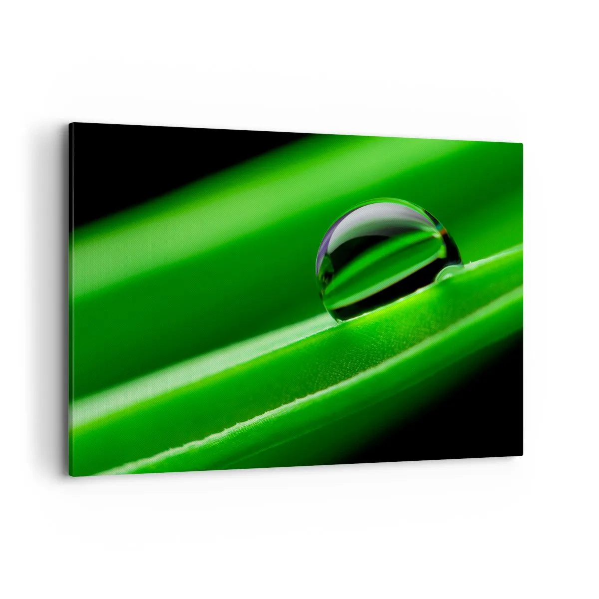 Bild auf Leinwand - Leinwandbild - Nahaufnahme eines Tautropfens auf einem grünen Blatt - 120x80cm - Leben hautnah - Moderne Wanddekoration für Wohnzimmer und Schlafzimmer ARTTOR