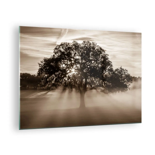 Glasbild - Bild auf glas - Ein Baum im Morgennebel mit Sonnenstrahlen, die durch die Äste scheinen - 70x50cm - Baum der guten Nachrichten - Moderne Wanddekoration für Wohnzimmer und Schlafzimmer ARTTOR