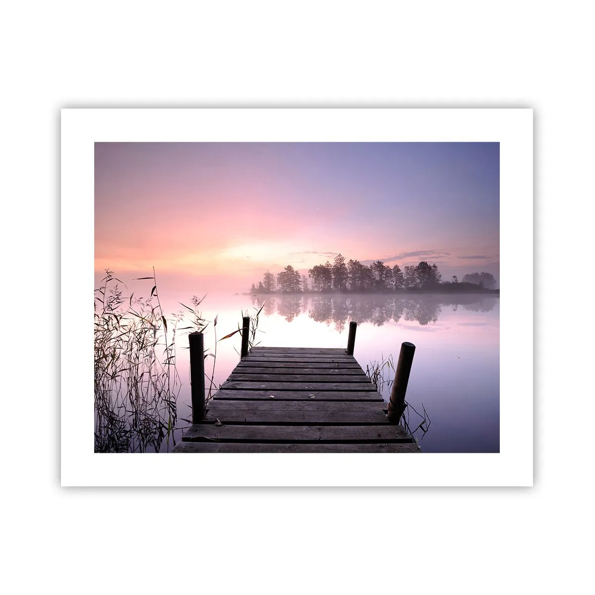 Poster - Aus dem lila Nebel ... - 50x40 cm