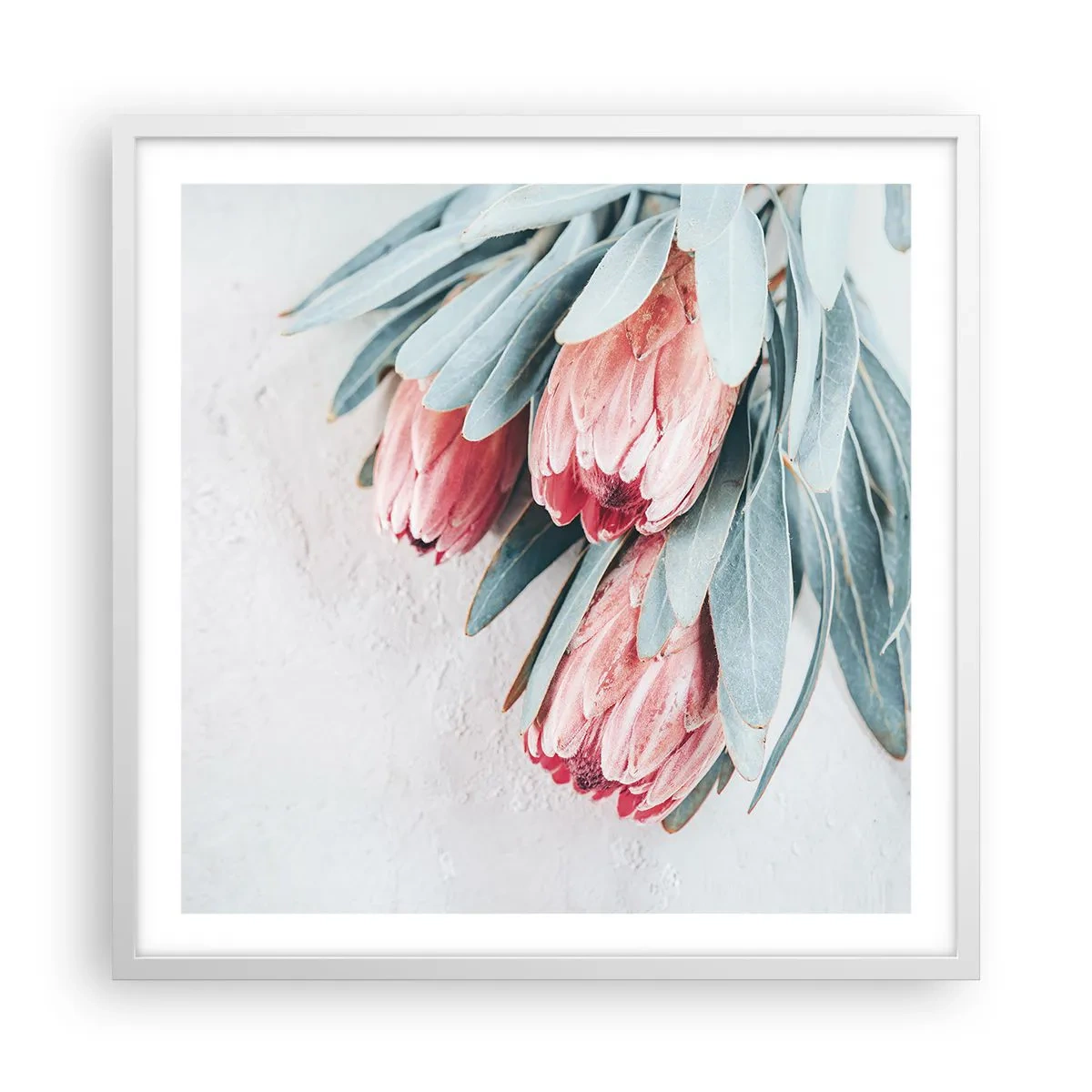 Poster in einem weißen Rahmen - Schämen sich für ihre eigene Schönheit - 60x60 cm