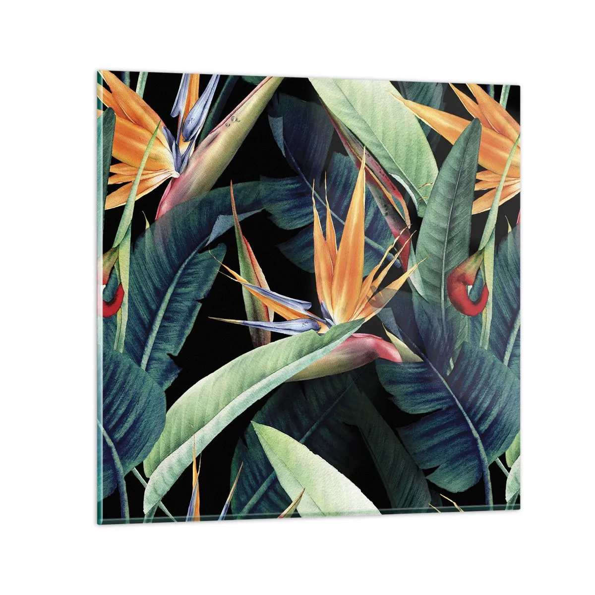 Glasbild - Bild auf glas - Flammende Blumen der Tropen - 40x40 cm
